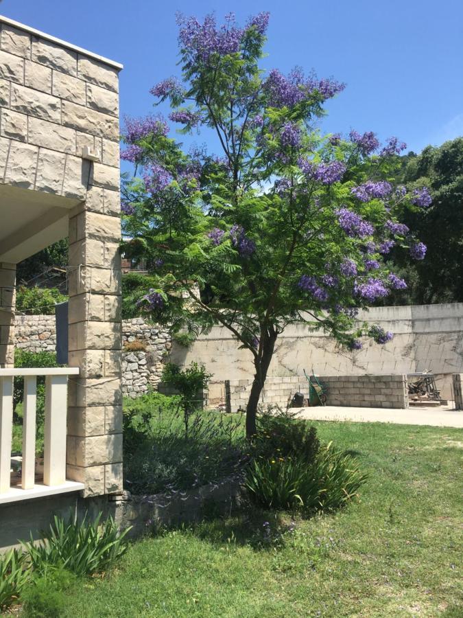 Apartmani Domenika Žuljana 外观 照片